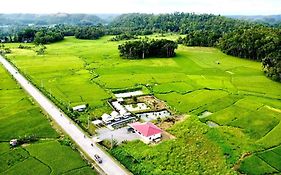 Jazz Ferme Inn Batuan Bohol